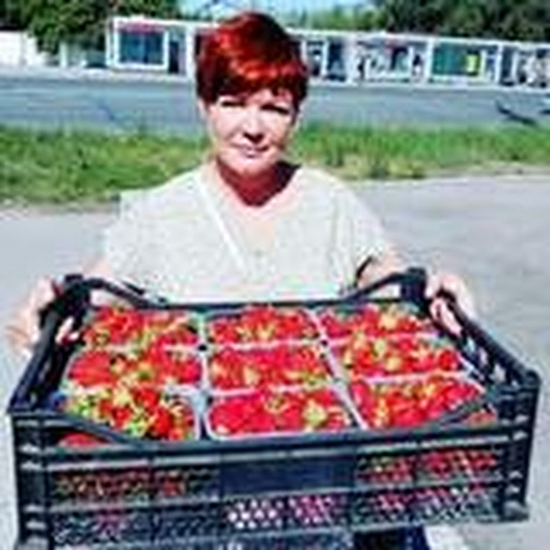 ОМСКАЯ ЯГОДА Logo