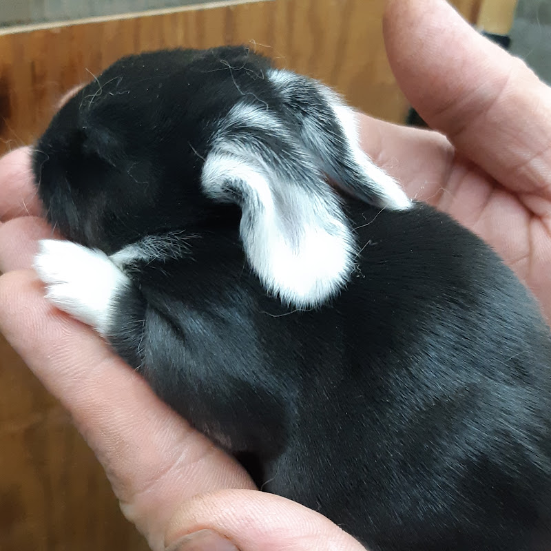 ЛПХ СерНат Logo