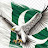 @AsifBacha-qw3ho Avatar
