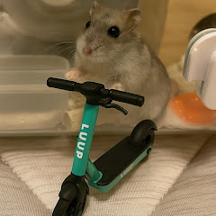 そらまめチャンネルアイコン画像