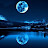 @ronw7245 Avatar