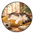 DPUt0QQ51GQ-channel-avatar-怠け猫