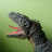 @Trex-d9t Avatar