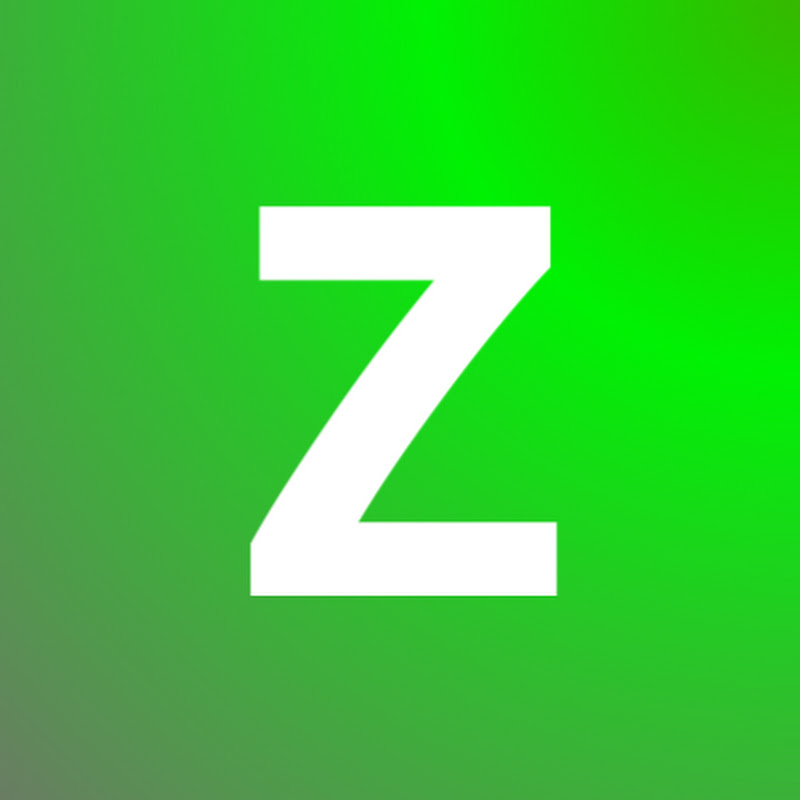 Zoomer Capital