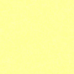 パイン　イナイレ解説