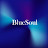 -` BlueSoul ´-