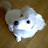 @stjeon5627