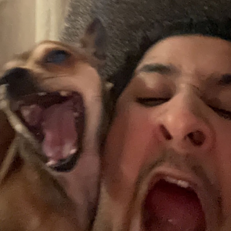Kodasteven