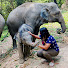 4vqjqrq_npE-channel-avatar-Baby Elephants_Family