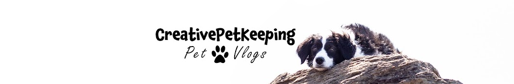 Creative Pet Vlogs YouTube 频道头像