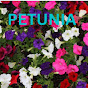 PETUNIA  logo