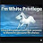 @joestrawinski9104 Avatar