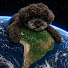 luMvfJDTyTI-channel-avatar-テツマロの地球旅🌏