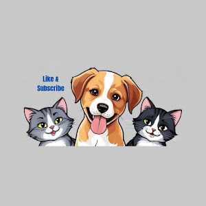 UCU501DA-4yhsmFNOFZQZ4Cw YouTube channel image