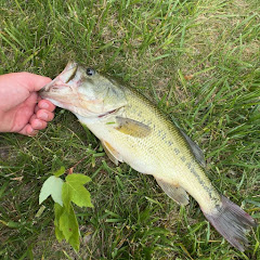 Ira’s fishing posts