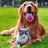 @Petvibes-a9