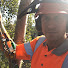 6LQ-huWsscs-channel-avatar-Tree boy