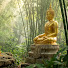 99iGM5YMupE-channel-avatar-จิตใต้เงาจันทร์