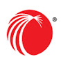 LexisNexis Intellectual Property Solutions logo
