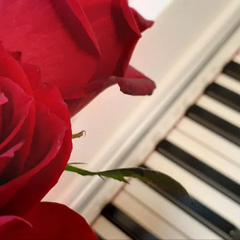 MiaKotoneMusic