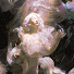 GOcm6iVGLi8-channel-avatar-seriialka