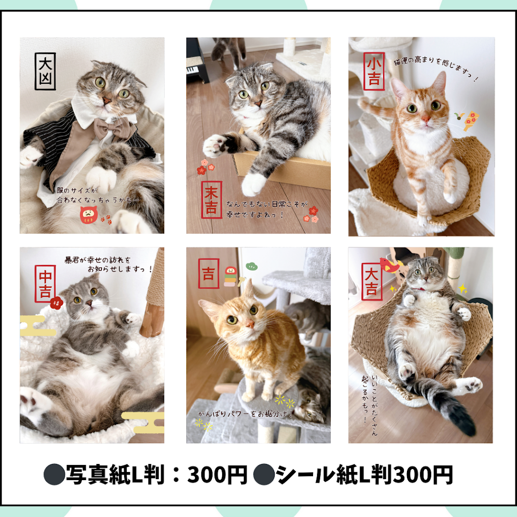 ねこぞー@猫のお役立ち情報 - YouTube