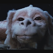 Falkor The Luck Dragon Stories