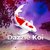 Dazzle Koi - Koi keeping tips and tricks