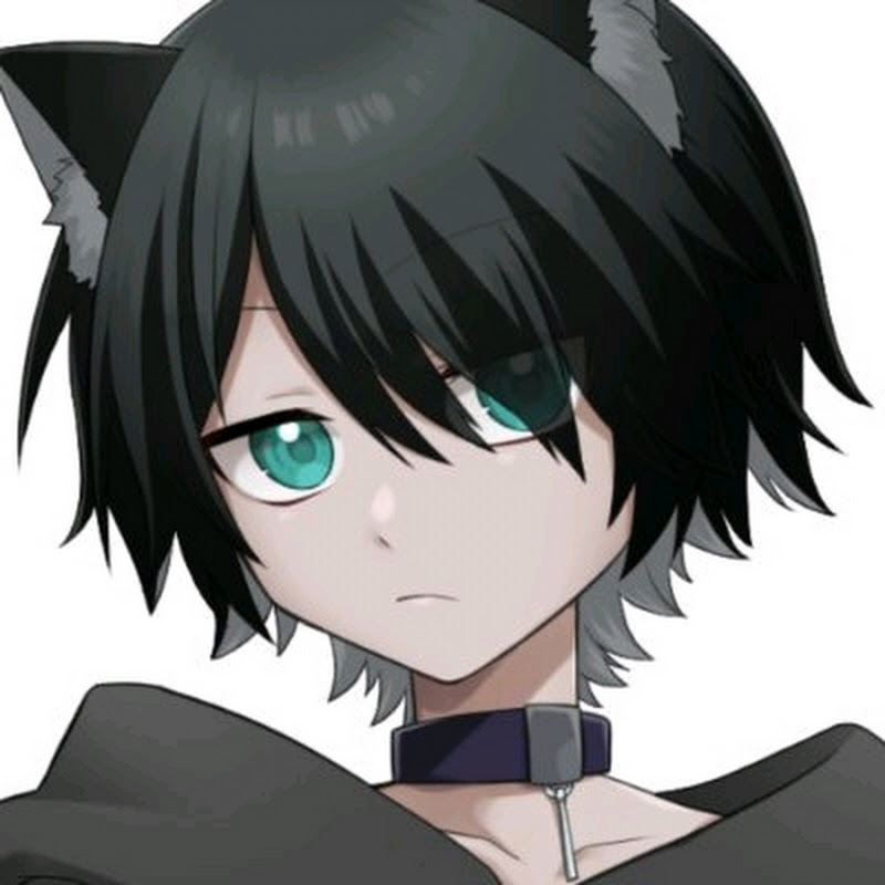 猫海みんみん / nekomi minmin