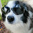 @eduardo_capetillo's avatar