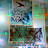 @astral-f3i9h