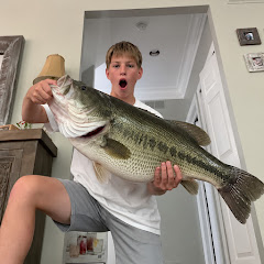 Michigan Bassin