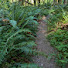 z6CVNjsxrlM-channel-avatar-Pacific Northwest Walking Tours