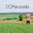 ca2zzxAeoQQ-channel-avatar-TRSPomerania Railway TV