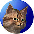 T6ffCMDKu7U-channel-avatar-PopMuzik42