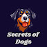 yMEqrg26G2g-channel-avatar-Secrets of Dogs