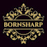 eFp4BF2HZkc-channel-avatar-Born Sharp