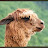 @일육공-특