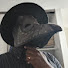 1Jmo1tRkstM-channel-avatar-EvilGuy0613