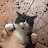 @marchwhitlock6455's avatar