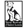 What could Stray Rescue of St.Louis Official buy with $100 thousand?