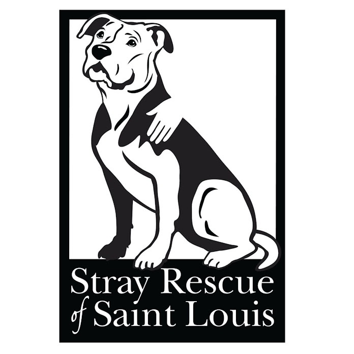 Stray Rescue of St.Louis Official Net Worth & Earnings (2024)