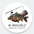 _TnQB5rDOGg-channel-avatar-ALİ BALOĞLU