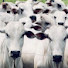 gTjroWlDjC4-channel-avatar-Fazenda Três Quedas