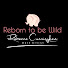 -VwtxHT5aeU-channel-avatar-Reborn to be Wild 