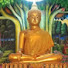 odj5fvEP18A-channel-avatar-Buddha Official