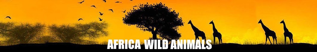 Africa Wild Animals ইউটিউব চ্যানেল অ্যাভাটার