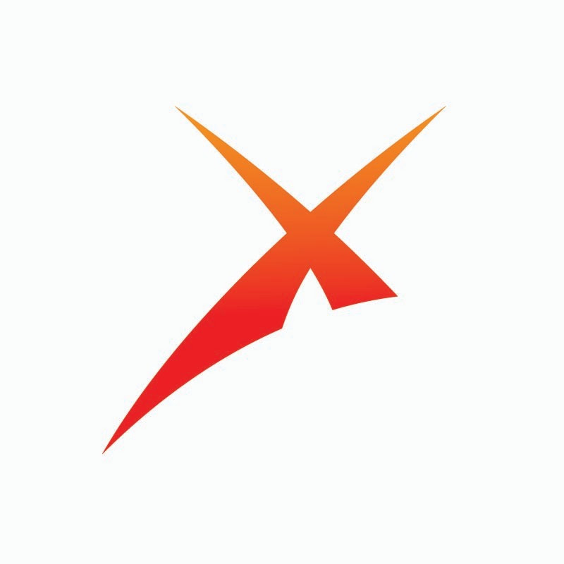 Inaxsys Security Systems Logo