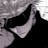 avatar of @savagecat2503