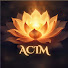 7tnLhxhMw24-channel-avatar-Love is All